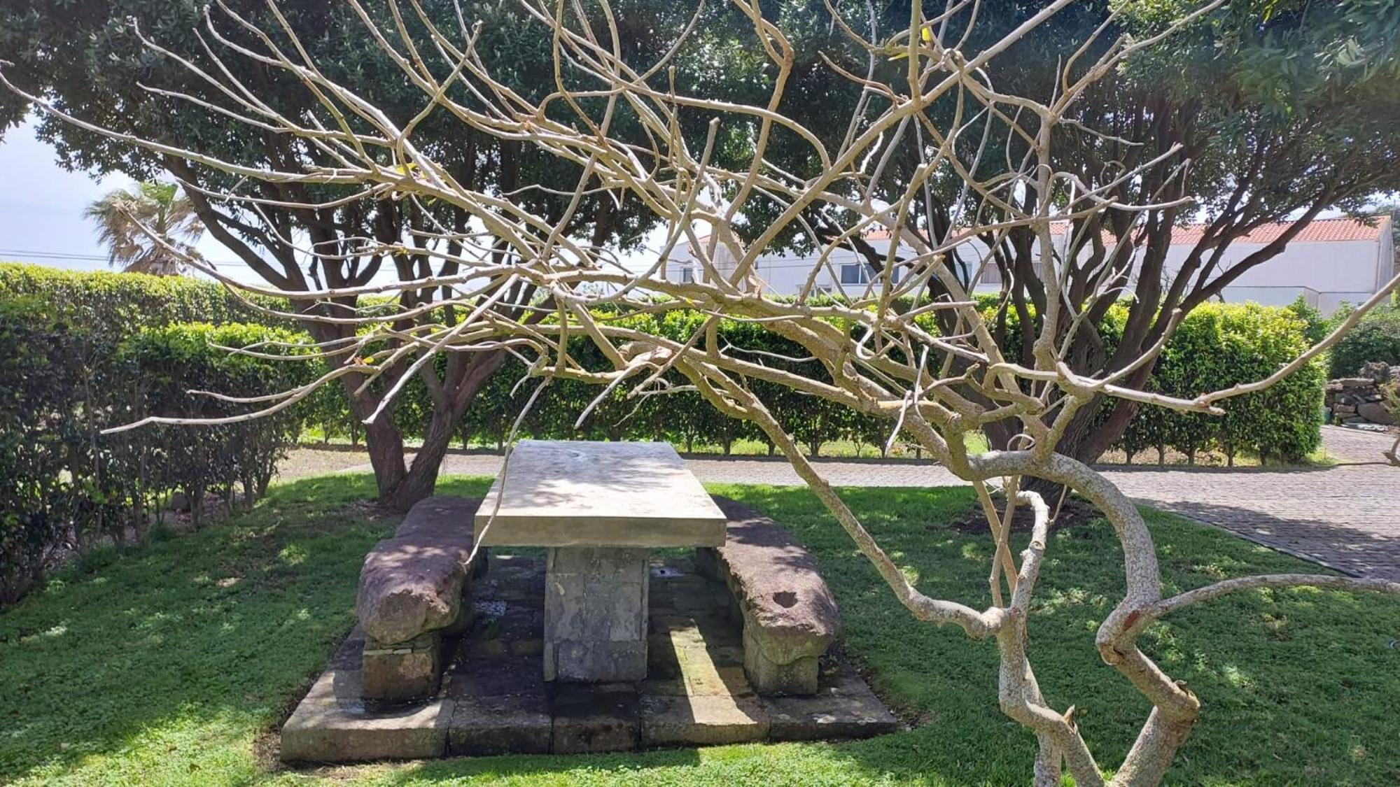 Retiro Das Camelias 1 Lajes das Flores エクステリア 写真